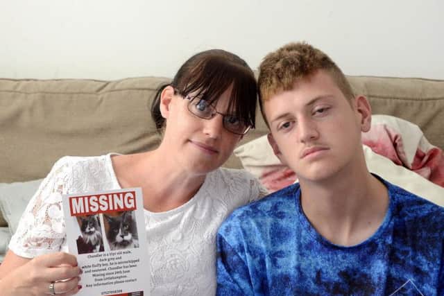 Lisa Johns and her son Tristan with the poster for their missing cat. Picture: Kate Shemilt