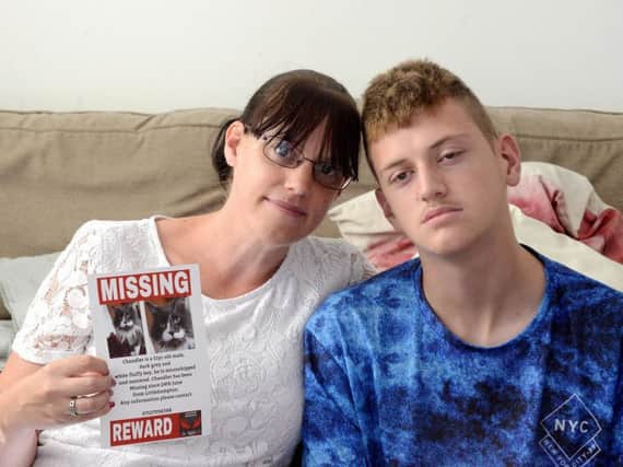 Lisa Johns and her son Tristan with the poster for their missing cat. Picture: Kate Shemilt