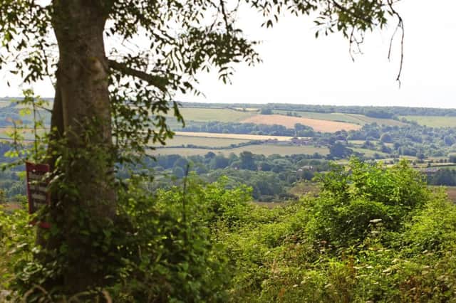 Villagers in Bury plan to plant 1,000 trees