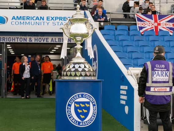 The Sussex Senior Cup trophy. Picture by Chris Neal