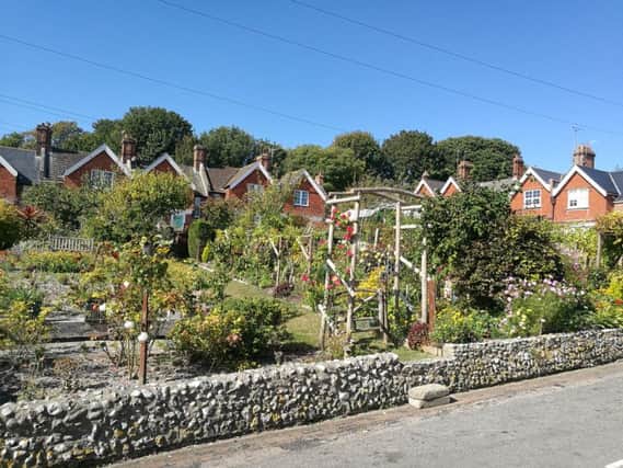Meads village allotments