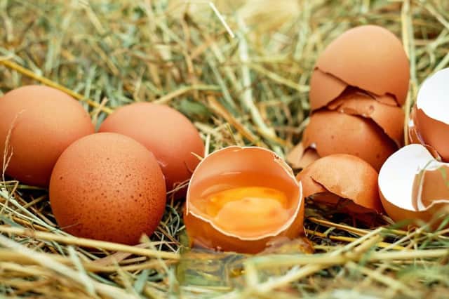 Warning over contaminated eggs SUS-190923-115453001