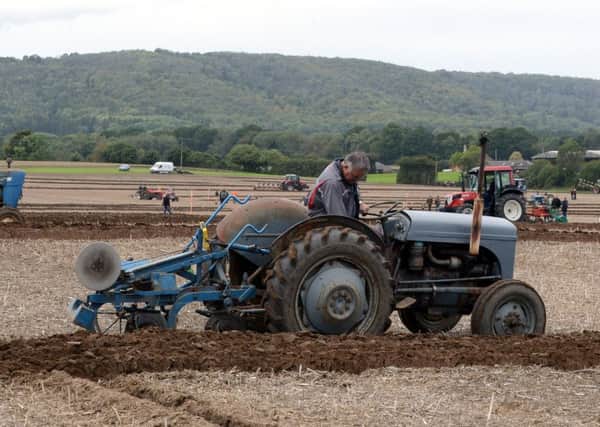ks180462-7 Duncton Ploughing Match  phot kate
Ploughing in progress..ks180462-7 SUS-180922-220232008