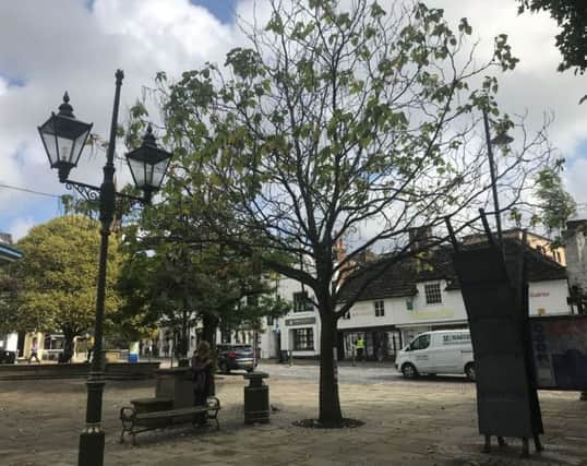 A tree which has been in Horsham's Carfax since the 1980s is now facing the axe SUS-190925-130347001