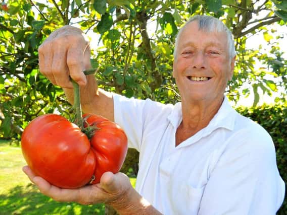 Hassocks resident Terry Hicks with his giant tomato. Photo by Steve Robards