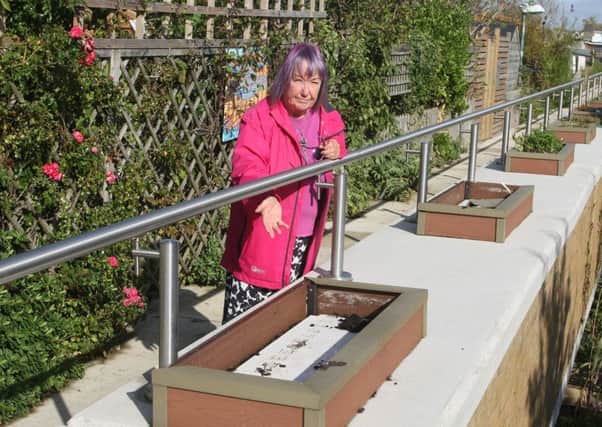 Mary Stokes with the vandalised flower boxes