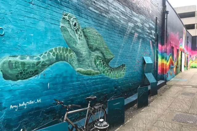 Amy's turtle mural outside Clarkes Art Shop, Bond Street (courtesy of Amy.kellymiller_art)