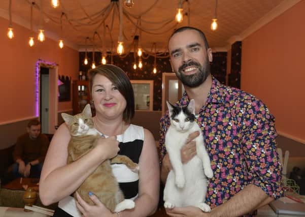 Mad Catter Cafe opens - delighted owners Lucy Allen and Sam Firman (Photo by Jon Rigby)