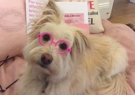 Mabel looking smart in pink