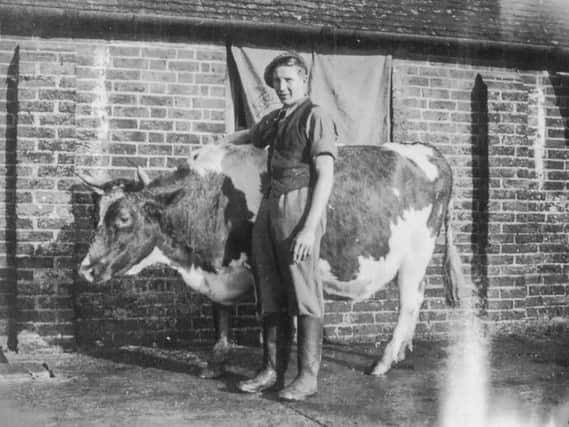 Emrys Nicholas, who was a cowman, pictured at Pitsham Farm before the Second World War started. The photo appeared on Emrys' grave in Venray during the anniversary celebration.