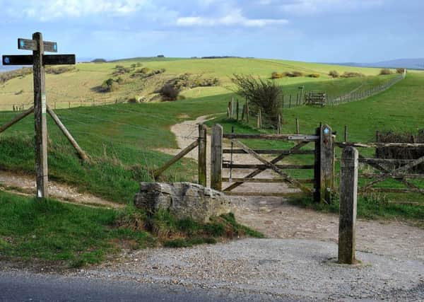The South Downs. Pic Steve Robards SR1906956 SUS-190313-210638001