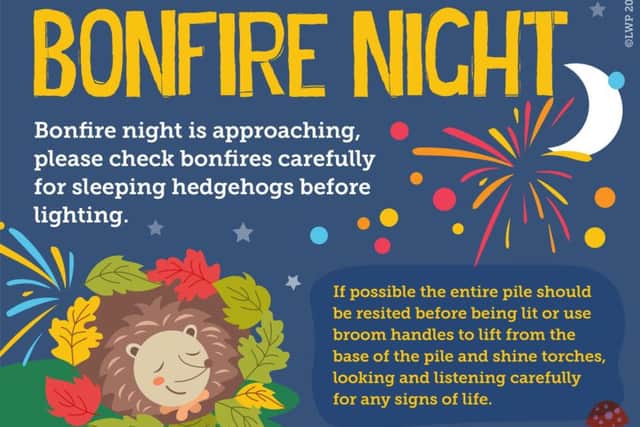Hedgehog Bonfire Risk SUS-191025-101935001