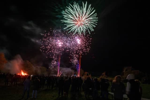 A variety of colourful fireworks at the Cowbeech display, Sam Gleadow