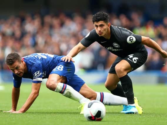 Brighton and Hove Albion midfielder Steven Alzate in Premier League action against Chelsea