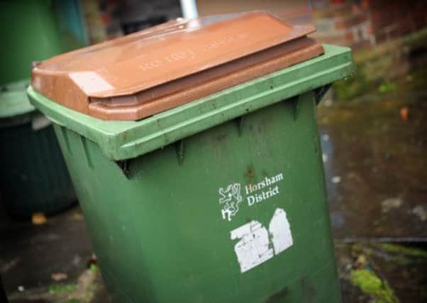 JPCT 20-11-12 S12460521X Horsham Brown green waste recycle bin -photo by Steve Cobb