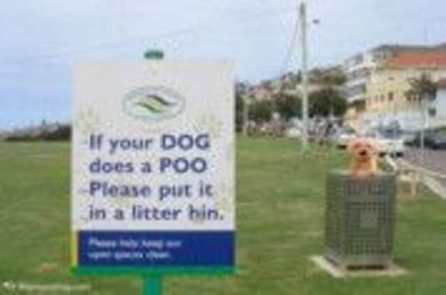 The answer to the dog problem in Randwick, NSW, Australia