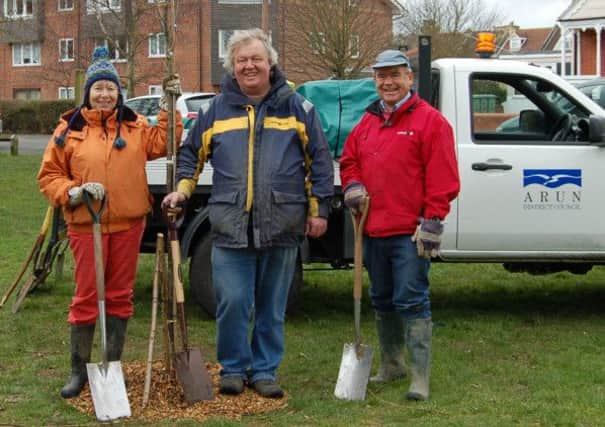 Pictured at the tree planting at Caffyns Field are (from the left) Dee Christensen, of the Arun parks team, David Eastlake, chairman of the Arun Biodiversity Forum and forum member Miles Stapleton f