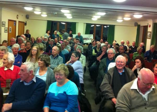 Public meeting of Save Billingshurst Action Group (submitted).