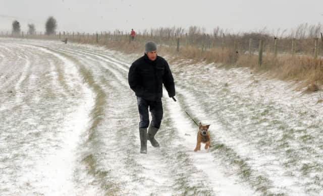 Snow on Titch Hill between Steyning and Sompting. Dog walking is William Templeton and Monty. S11209H13.