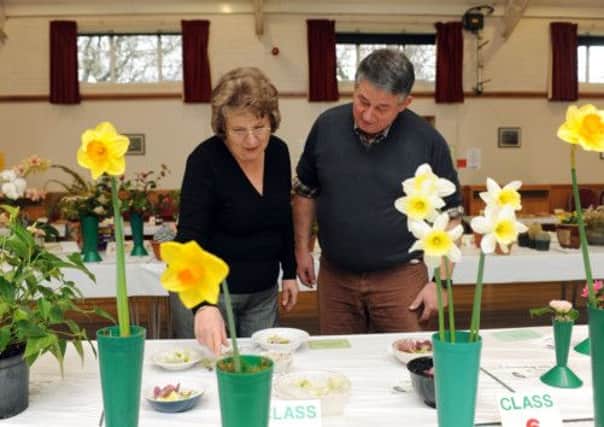 Admiring the exhibits at Rustingon Horticultural Societys spring show                 L13161H13