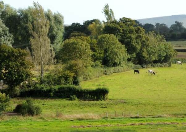JPCT 170912 Countryside east of Henfield. Photo by Derek Martin