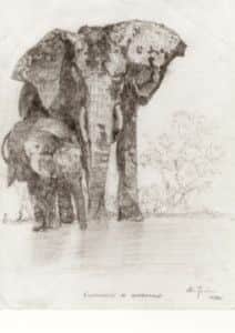 Elephants at waterhole, by Alan Farndon