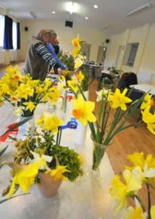 13/4/13- Beckley Horticultural Society Spring Show.