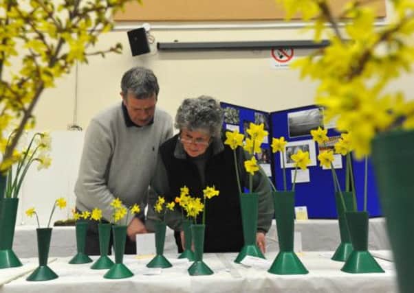 13/4/13- Sedlescombe and District Garden Society Spring Show.