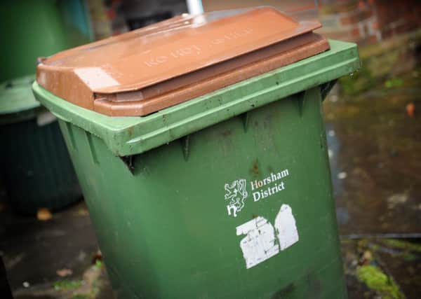 JPCT 20-11-12 S12460521X Horsham Brown green waste recycle bin -photo by Steve Cobb