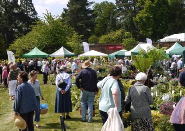 The New Horizons Appeal Garden and Local Produce Fair will be held in Billinghurst in May. Picture submitted