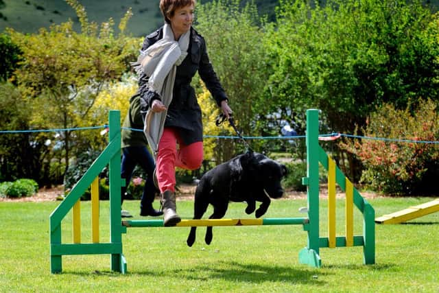 Plumpton College Open Day. Dog agility