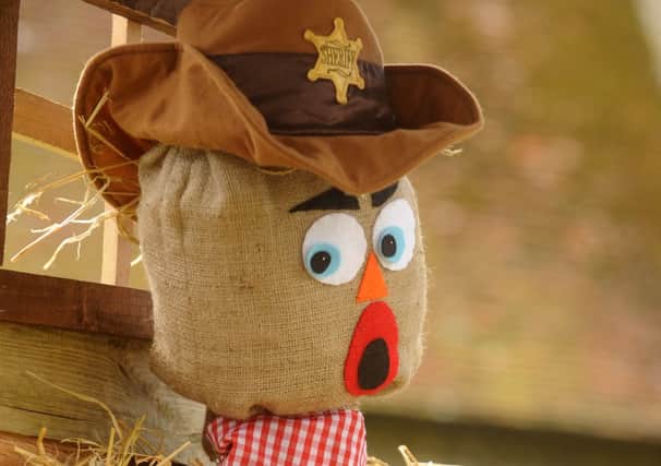 Don't mess with me cowboy.

Picture by Louise Adams C130654-8 Chi Oving Scarecrows