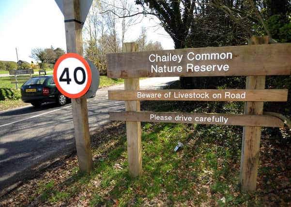New wooden signage on Chailey common set to go