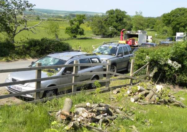 A number of cars were damaged in Arundel well a tree collapsed into a road near the town