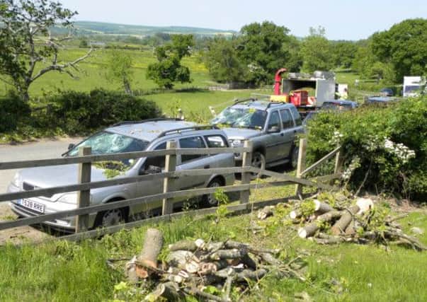 A number of cars are extensively damaged when a tree in Arundel collapsed onto them