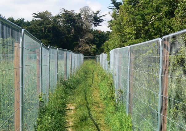 Prison-style fencing in Yapton
