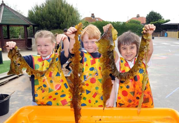 Pupils measure seaweed as part of Maths Week and World Ocean Day