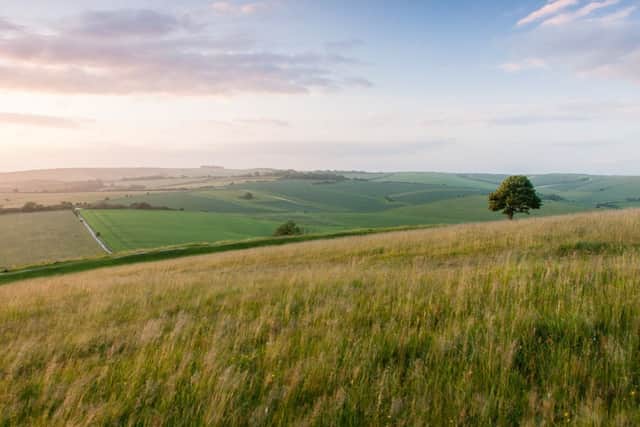 The Cissbury Ring. Photo by Stuart East