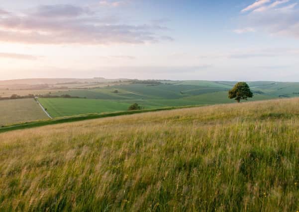 The Cissbury Ring. Photo by Stuart East