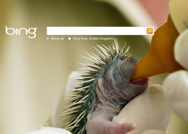 The Bing homepage, featuring Brent Lodge