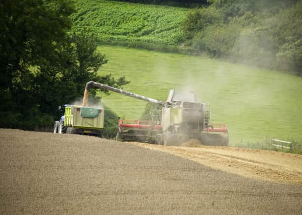 Harvest time on the South Downs.  PHOTO: Sussex Image Library/Graham Franks