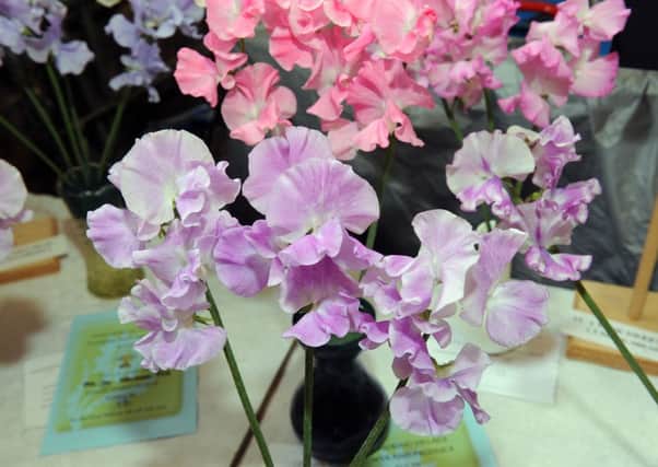 Sweet peas at last year's Angmering Village Flower Show