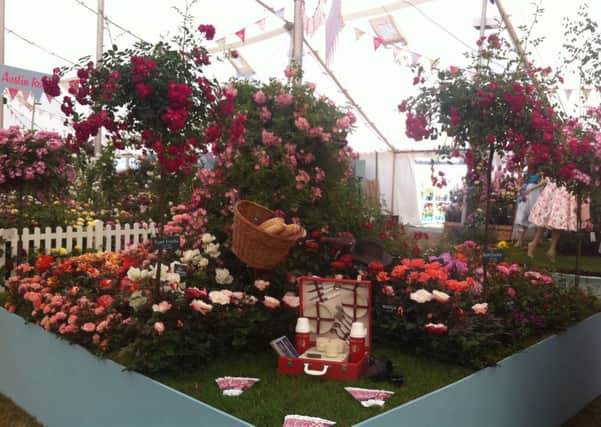 Apuldram Roses' stand at the 2013 RHS Hampton Court Palace Flower Show, which won a silver gilt medal.