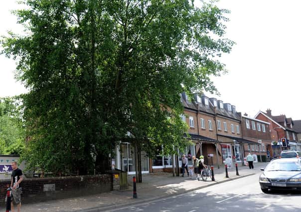 Some local people fear for the future of a tree next to the bridge in the centre of Hassocks