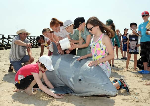Primary school children take part in the mock exercise to rescue a dolphin