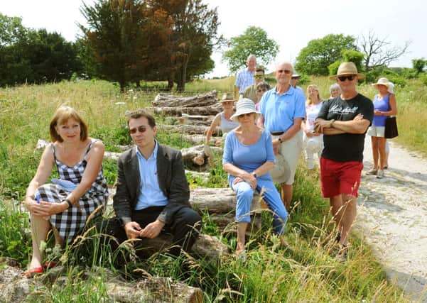 JPCT 220713 Residents angry at trees felled on Bury Hill. Photo by Derek Martin