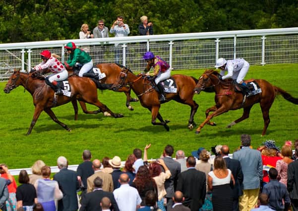 There'll be plenty of runners - and race-goers - when Glorious Goodwood gets under way on Tuesday