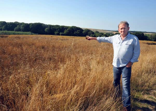 8/8/13- Historian Andy Saunders at Upper Wilting Farm near Hastings, the site where Alfred Davies' Spitfire crashed in October 1940 during the Battle of Britain.  Andy has calld for the Bexhill to Hastings Link Road to be named after the RAF hero.