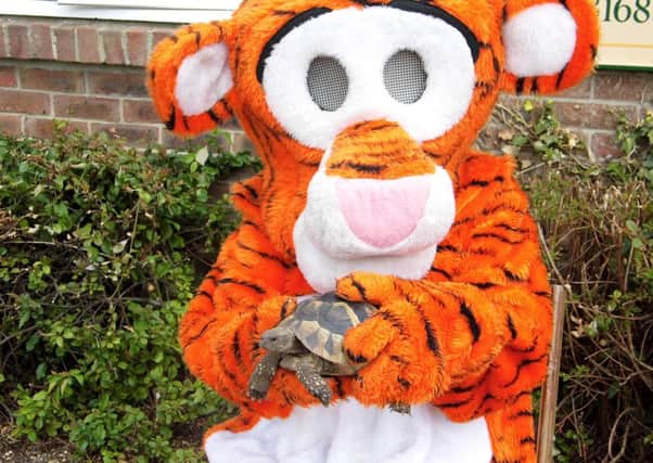 'Twickers' the tortoise with Tigger at Pooh House and Gardens in Fittleworth where he was found two weeks ago