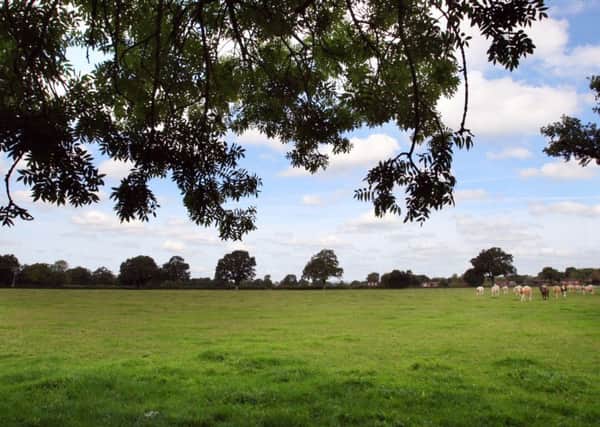 Countryside near Southwater that may be developed